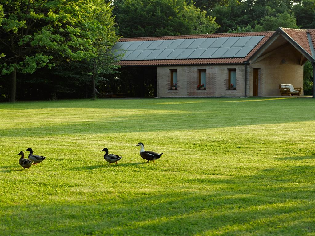 Relais Agrituristico Ormesani Villa San Liberale Kültér fotó